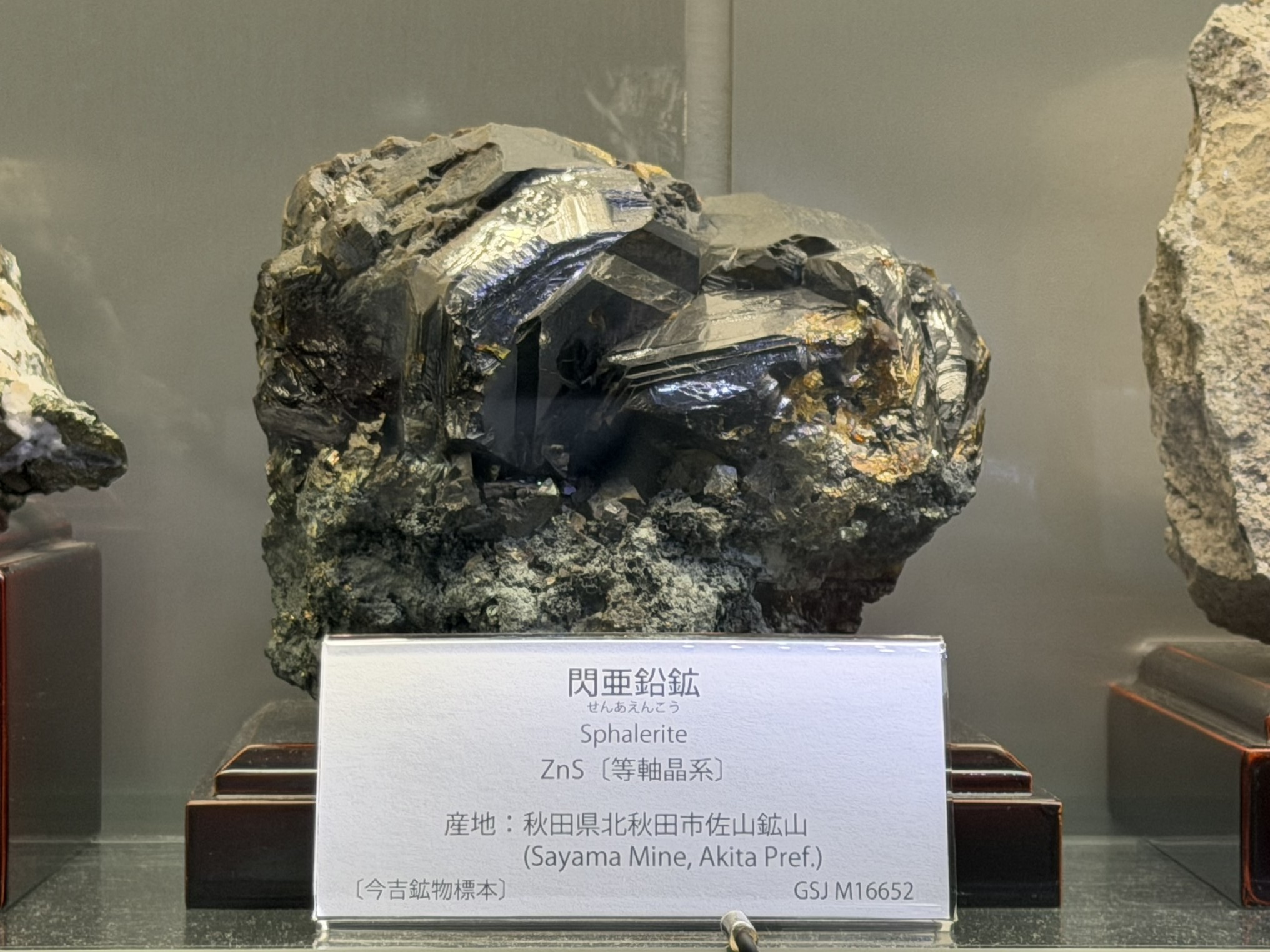 地質標本館 の画像